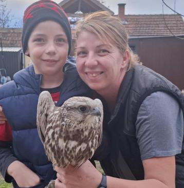 Ott segít, ahol tud - Kerecsensólymot mentett a BvEK szakápolója