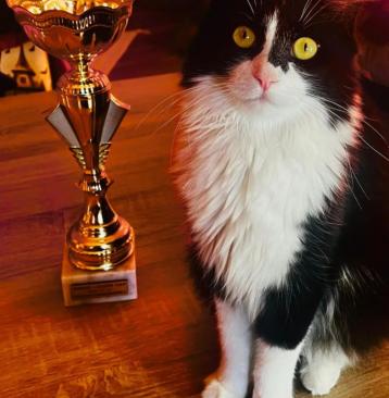 Interjú a Macskabíróval 