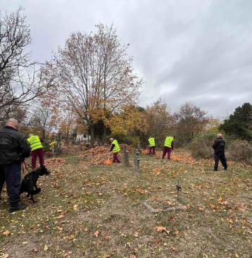 Jóvátétel Forrás: PLHM