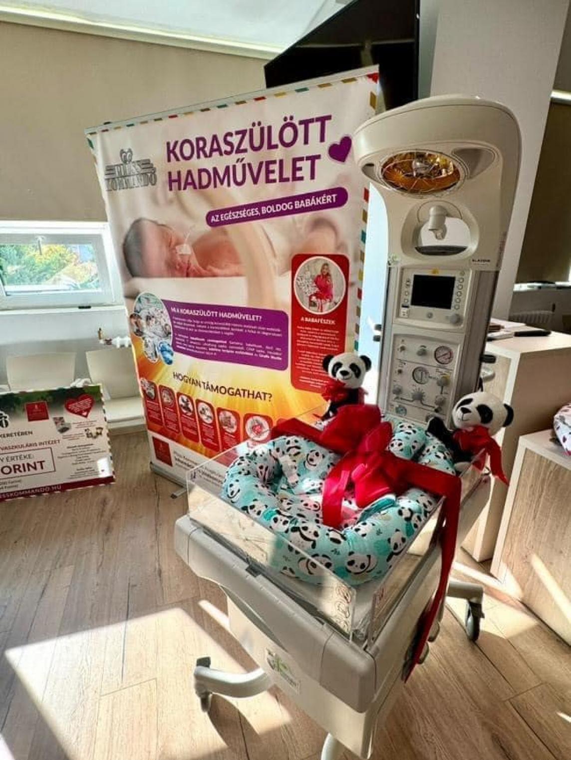 Békés Vármegyei Intézet dolgozói összefogtak, hogy minél több plüssállatot gyűjtsenek össze, ezzel hozzájárulva a Plüss Kommandó nemes céljaihoz.