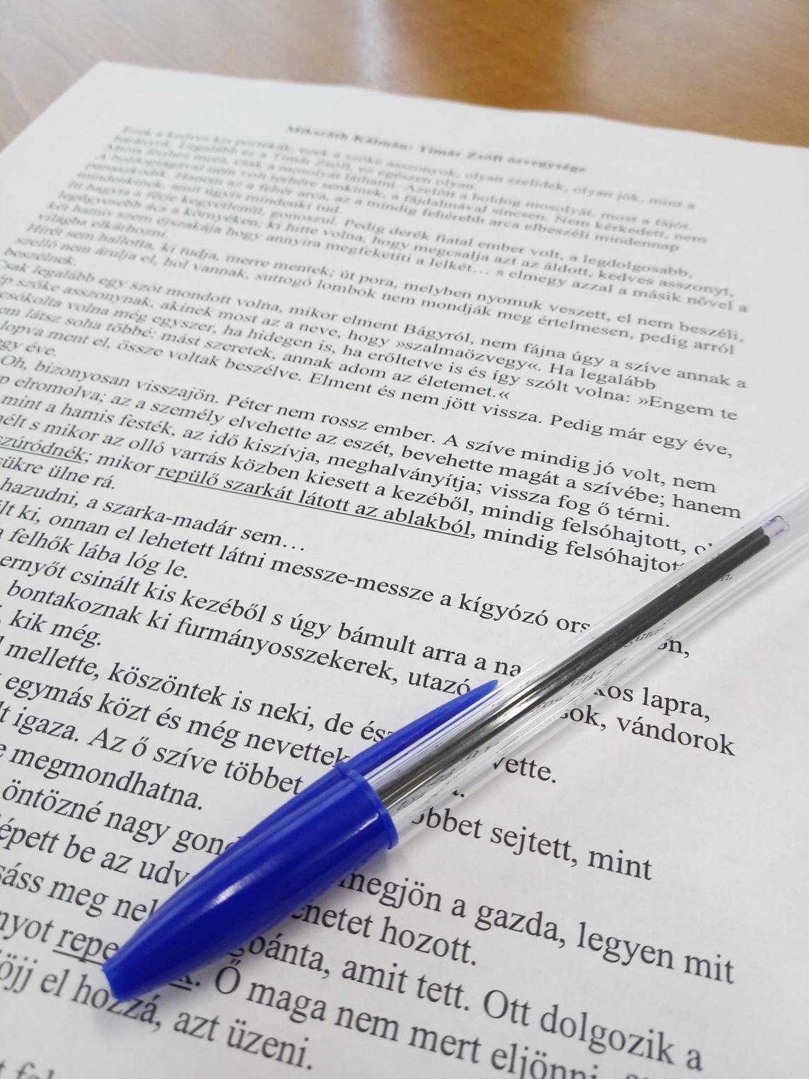 „Társadalmi kohéziót erősítő komplex bűnmegelőzési és reintegrációs program"