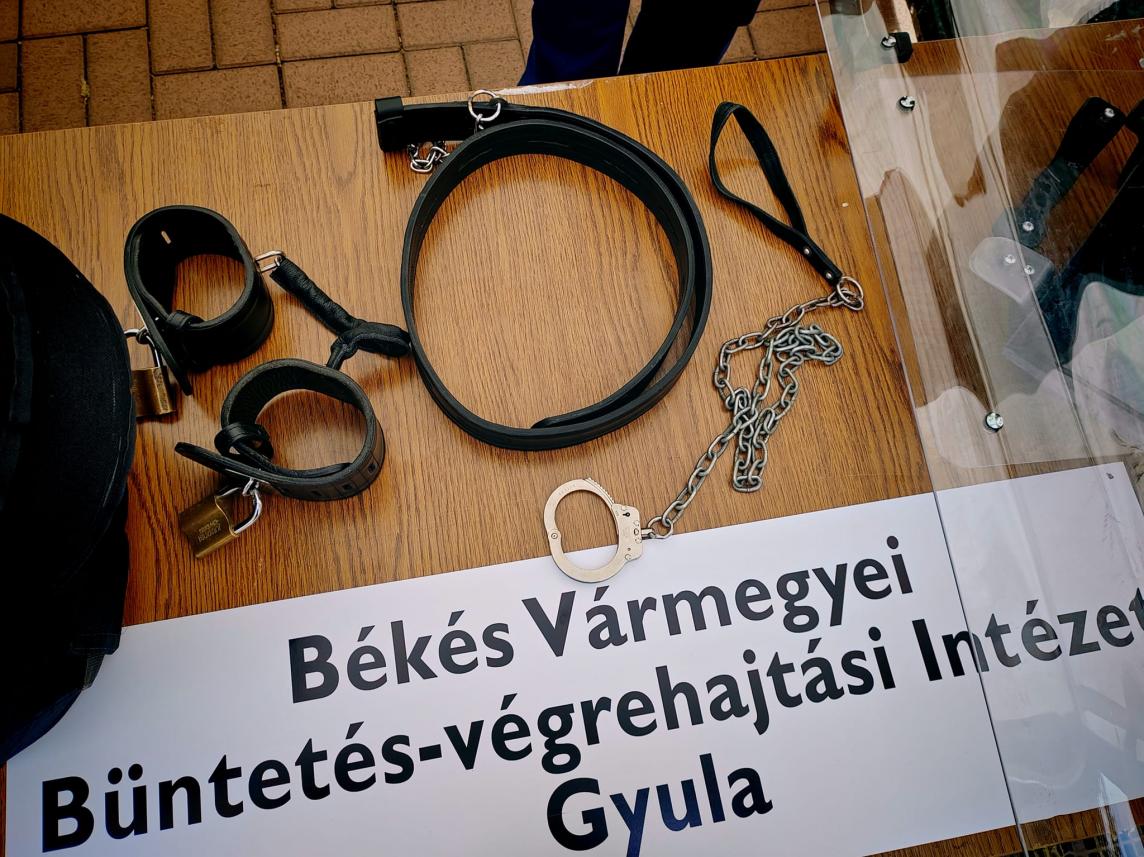 Pályaorientációs napon toboroztak a gyulaiak