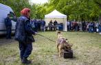 Lánglovagok és Hagyományőrzők Nemzetközi Találkozója