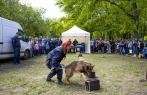 Lánglovagok és Hagyományőrzők Nemzetközi Találkozója