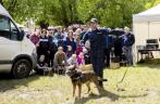 Lánglovagok és Hagyományőrzők Nemzetközi Találkozója