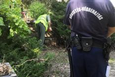 Fotó: Veszprém Vármegyei Bv. Intézet (illusztráció)