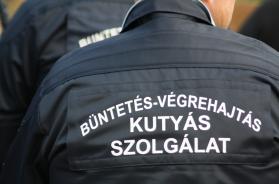 kutyás szolgálat