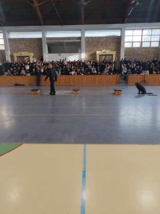 kereső gyakorlat