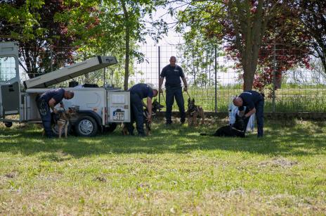 Tiszacsegén tartottak bemutatót kollégáink és négylábú társaik