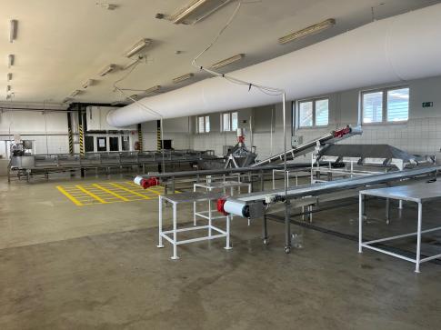 Spárgatök termesztés: A fogvatartotti mezőgazdaság hagyománya