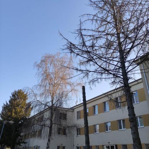 Föld napi összefogás Kiskunhalason 