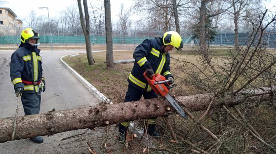 Szituációs begyakorló gyakorlat Forrás: KATVÉD