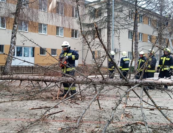 Szituációs begyakorló gyakorlat Forrás: KATVÉD