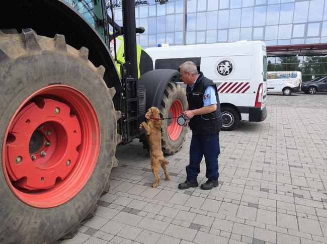 Nyugállományba vonult Ricsi, a veszprémi börtön drogkereső kutyája - Forrás: Veszprém Vármegyei Bv. Intézet