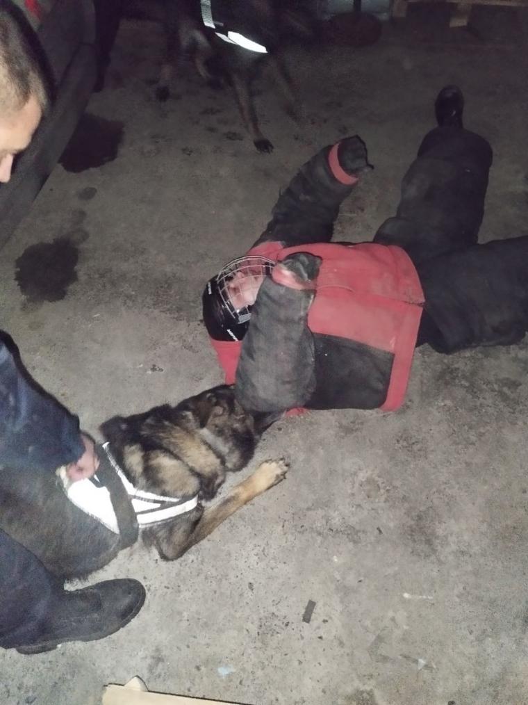 Szolgálati kutyák szinten tartó képzése