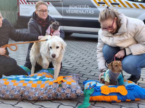 Európai Hulladékcsökkentési Hét - „Állati” jóvátétel