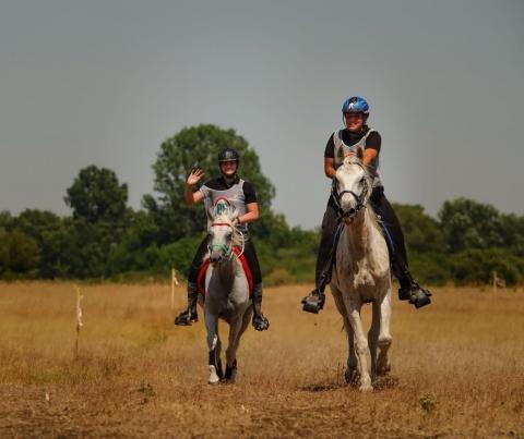 Távlovagló bajnok lett kolléganőnk! Távlovagló bajnok lett kolléganőnk!