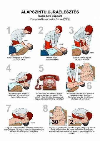 Az újraélesztés folyamata - Forrás: tankorterem.hu