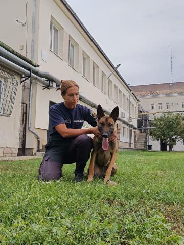 Kiváló eredménnyel vizsgázott Demóna