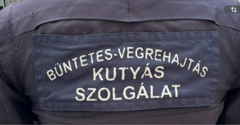 Kutyás bemutató-különleges élmény a diákoknak