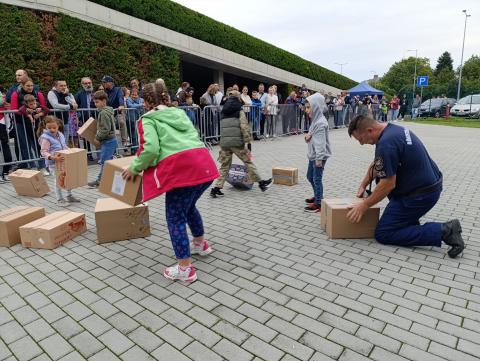 Vajon melyikben van a tigris? A gyerekek is bekapcsolódhattak a bemutatóba Vajon melyikben van  tigris? A gyerekek is bekapcsolódhattak a bemutatóba