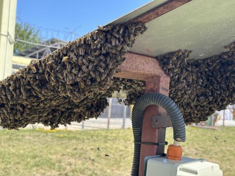 A Kft. továbbra is elkötelezett a természetvédelmi értékek megóvása és a felelősségteljes gazdálkodás irányába