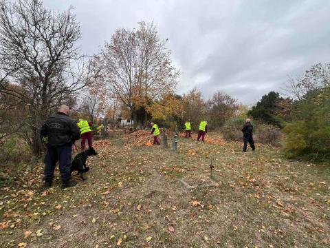Jóvátétel Forrás: PLHM