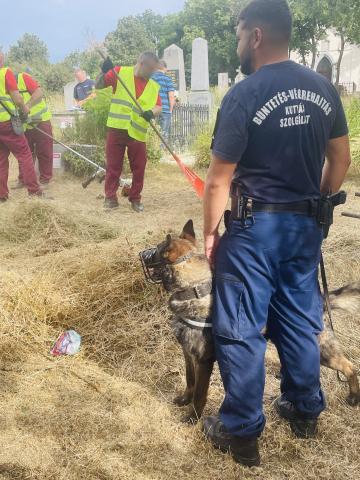 Közös ügy, közös munka – Újabb jóvátételi program Pálhalmától Forrás: PLHM