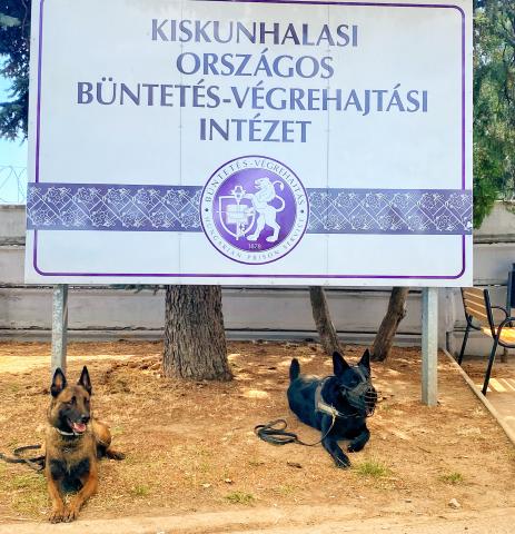 Szikra és Bitang Forrás: KOBVI