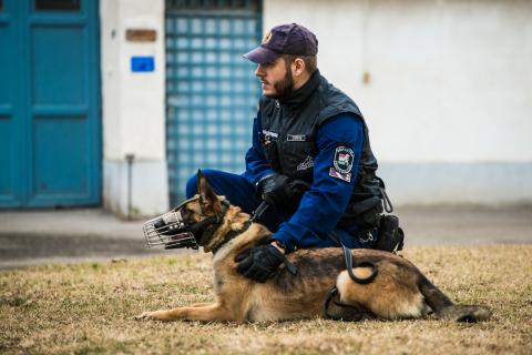 Agglomerációs kutyavezető képzés a Borsod-Abaúj-Zemplén Vármegyei Büntetés-végrehajtási Intézetben