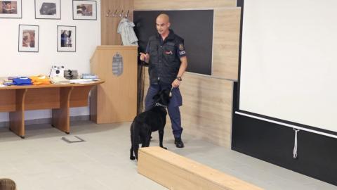Kutyás bemutató Debrecenben